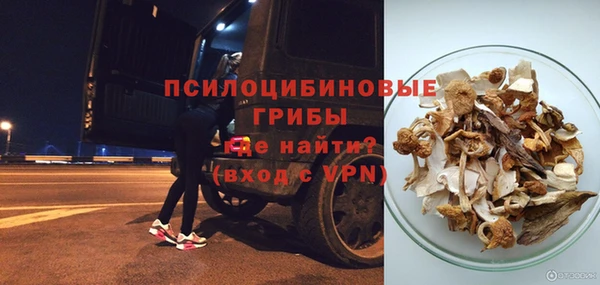 сатива Абаза