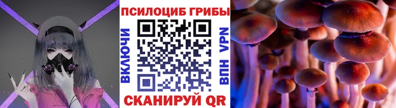 Галлюциногенные грибы MAGIC MUSHROOMS  где продают наркотики  Щёлкино 